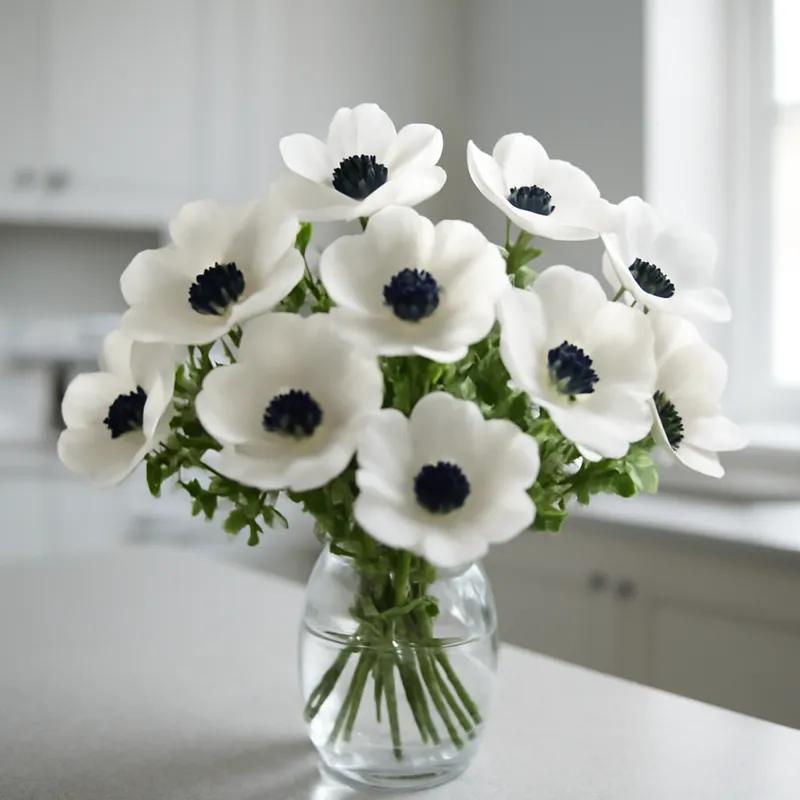Anemone – klassisch – Bild 3