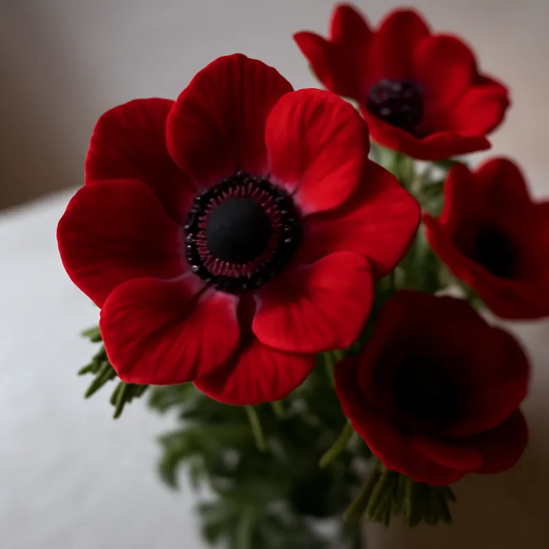 Anemone – rot – Bild 3