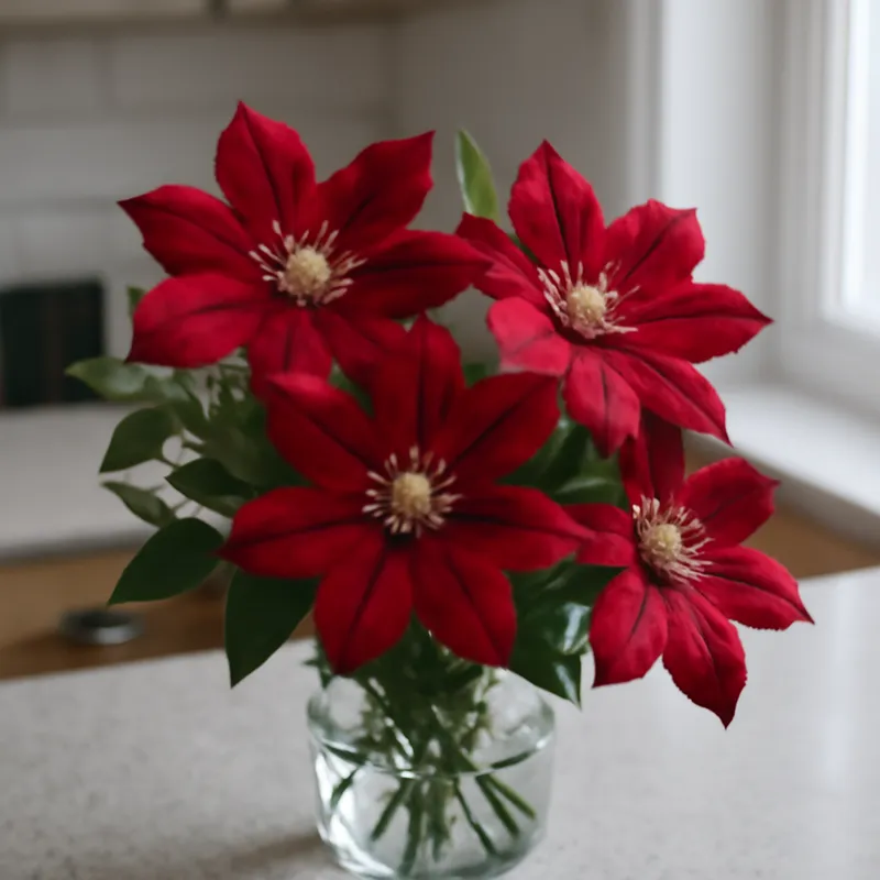 Klematis – rot – Bild 3