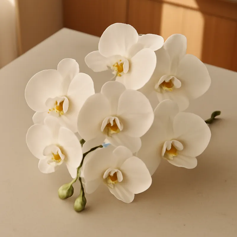 Orchidee (brudorkidé) – klassisch – Bild 3