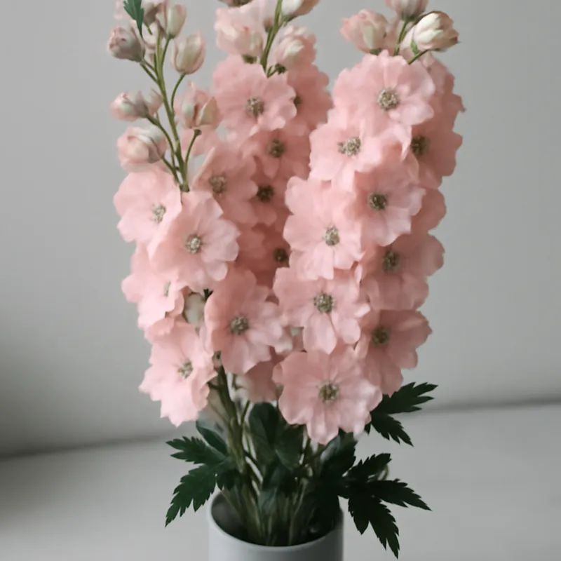 Rittersporn – rosa – Bild 3