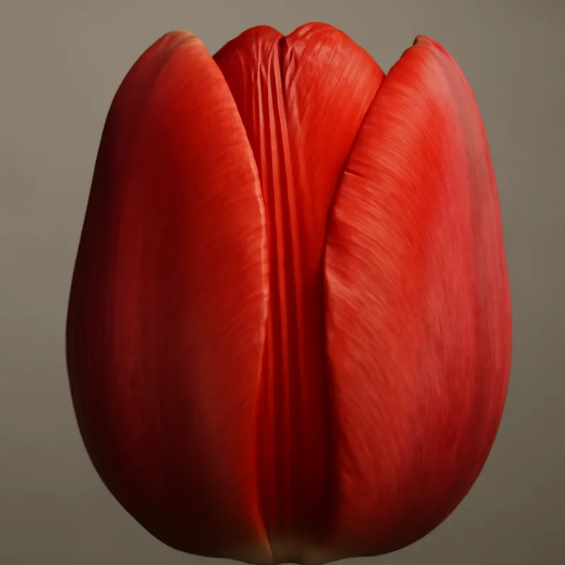 Klassische Tulpen arrangiert im Wohnzimmer