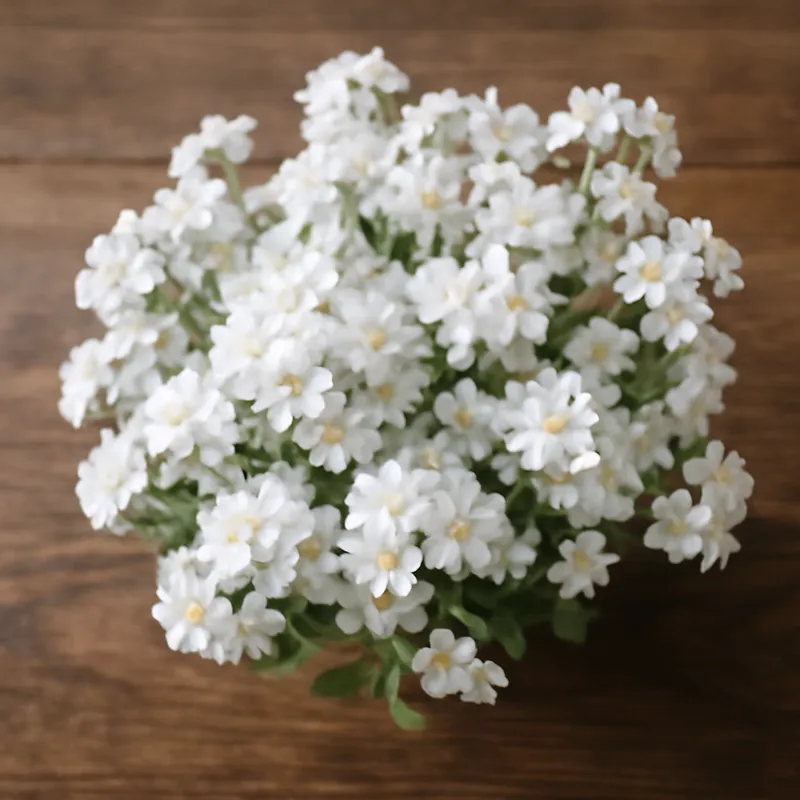 Vergissmeinnicht – weiss – Bild 3