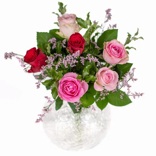 Romantische Rosen