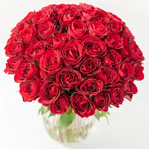 50 Rote Rosen