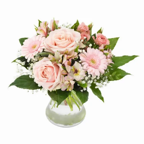 Rosa Perfektion