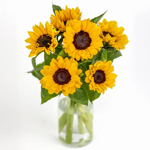 Sonnenblumen­strauß