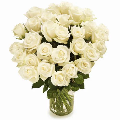 Luxuriöse weiße Rosen