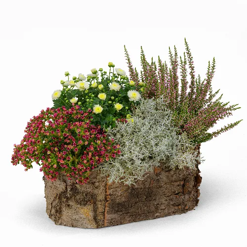 Rosa Herbstarrangement